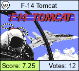 F-14 Tomcat