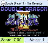 Double Dragon II - The Revenge